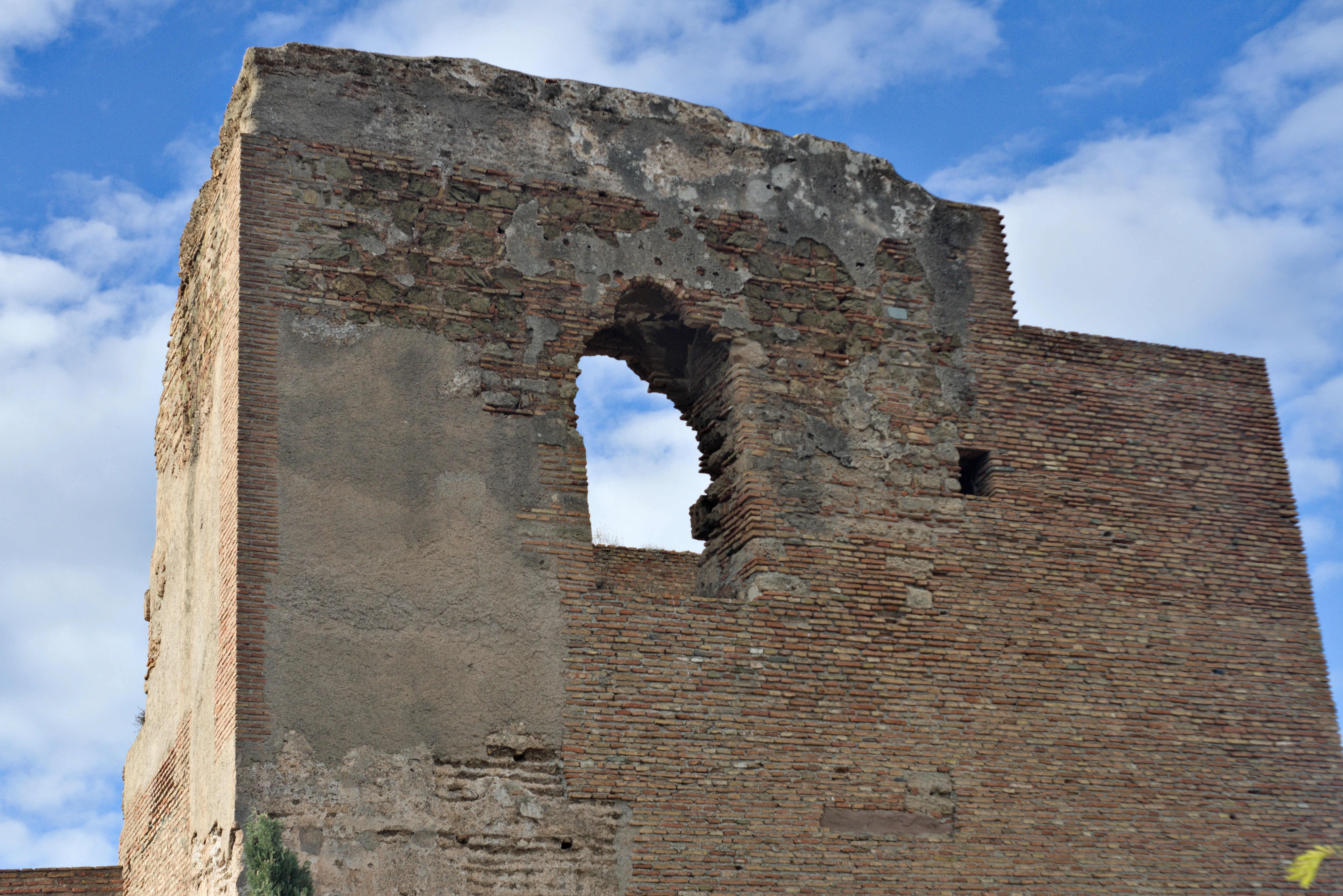 Meyer-Optik Görlitz Primagon 35mm f4.5 (M42) - _I4A7307.webp